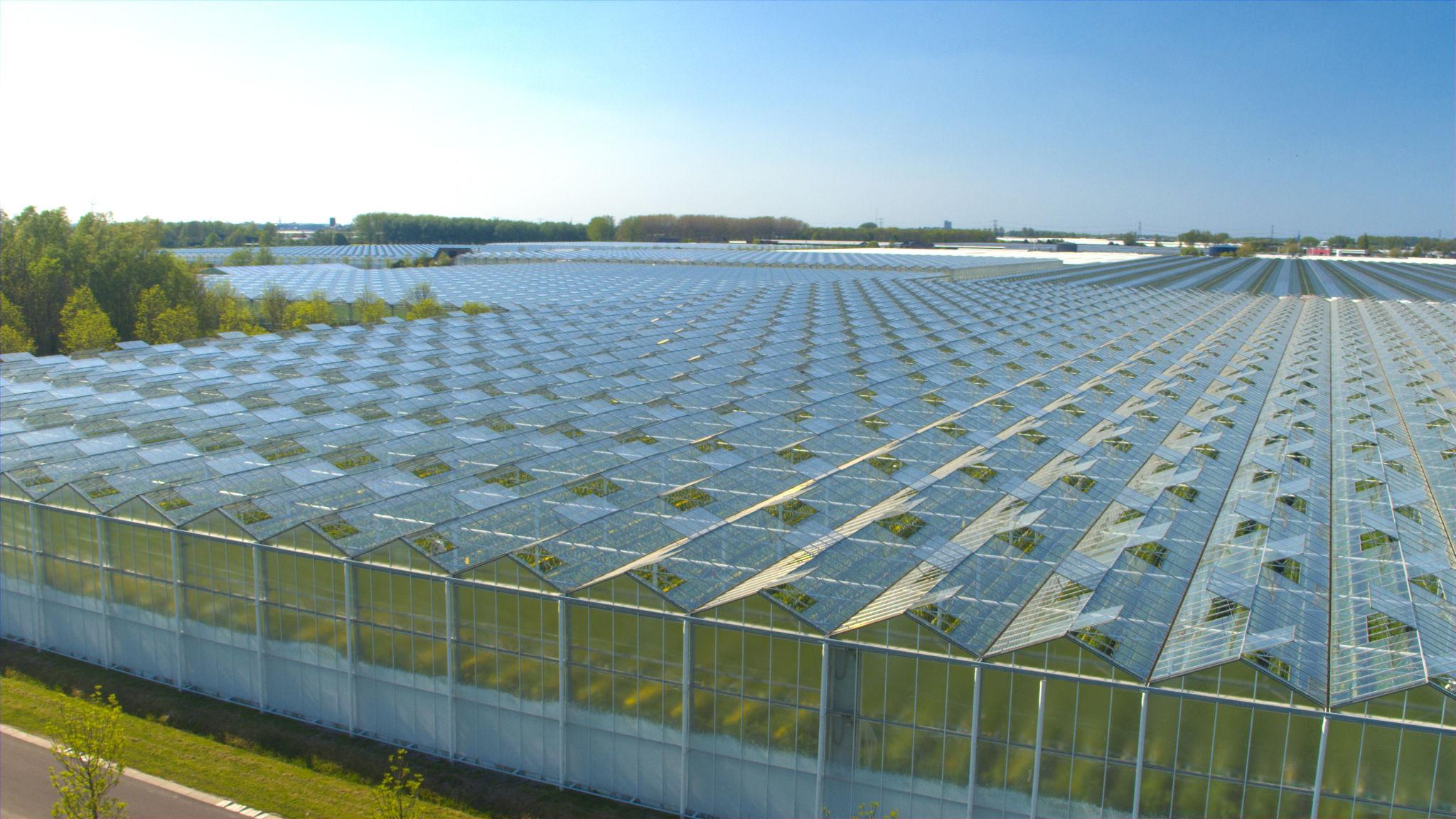 Greenhouse
